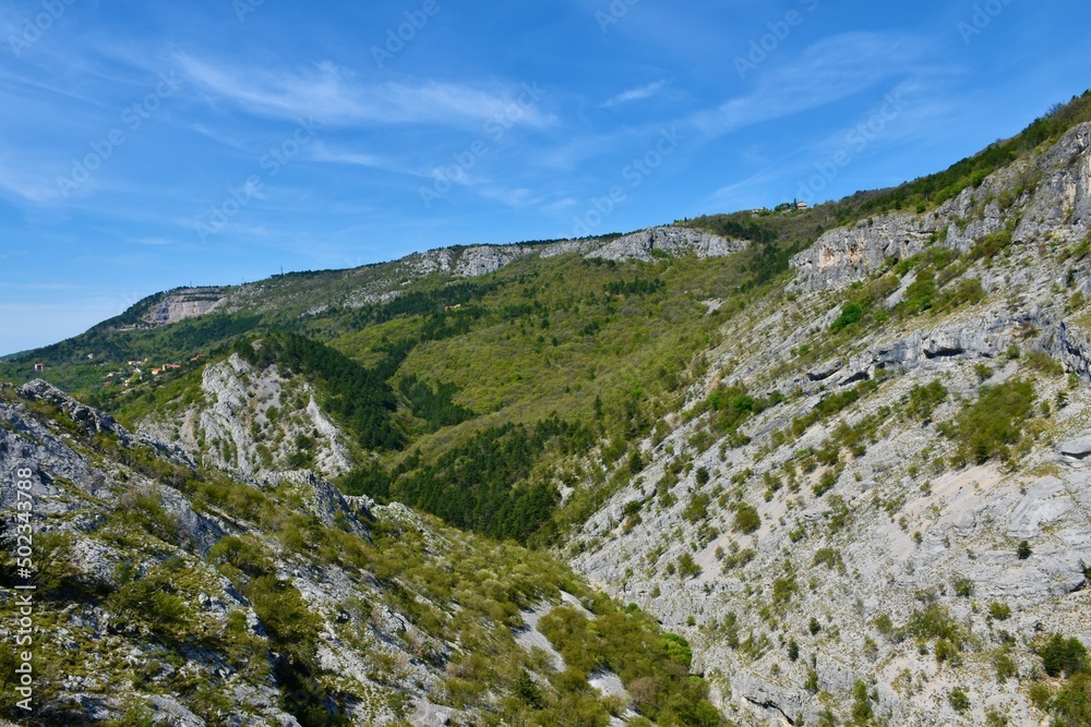 View of Val Rosandra valley near Trieste in Italy with the forest covering the slopes in bright green spring foliage