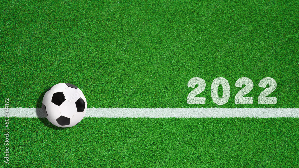 Obraz premium textured soccer game field - 2022