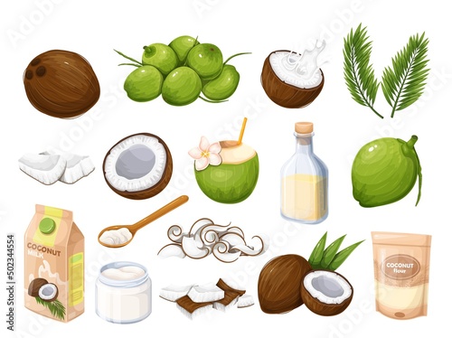 Whole coconut, half with milk splash and pieces fruit, green palm leaf, coconut oil in glass bottle. Copra. Oil on wooden spoon, pile of young green coconuts and ets. Vector illustration. photo