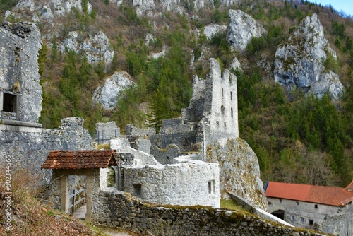 View of Kamen castle near Begunje na Gorenjskem in Slovenia photo