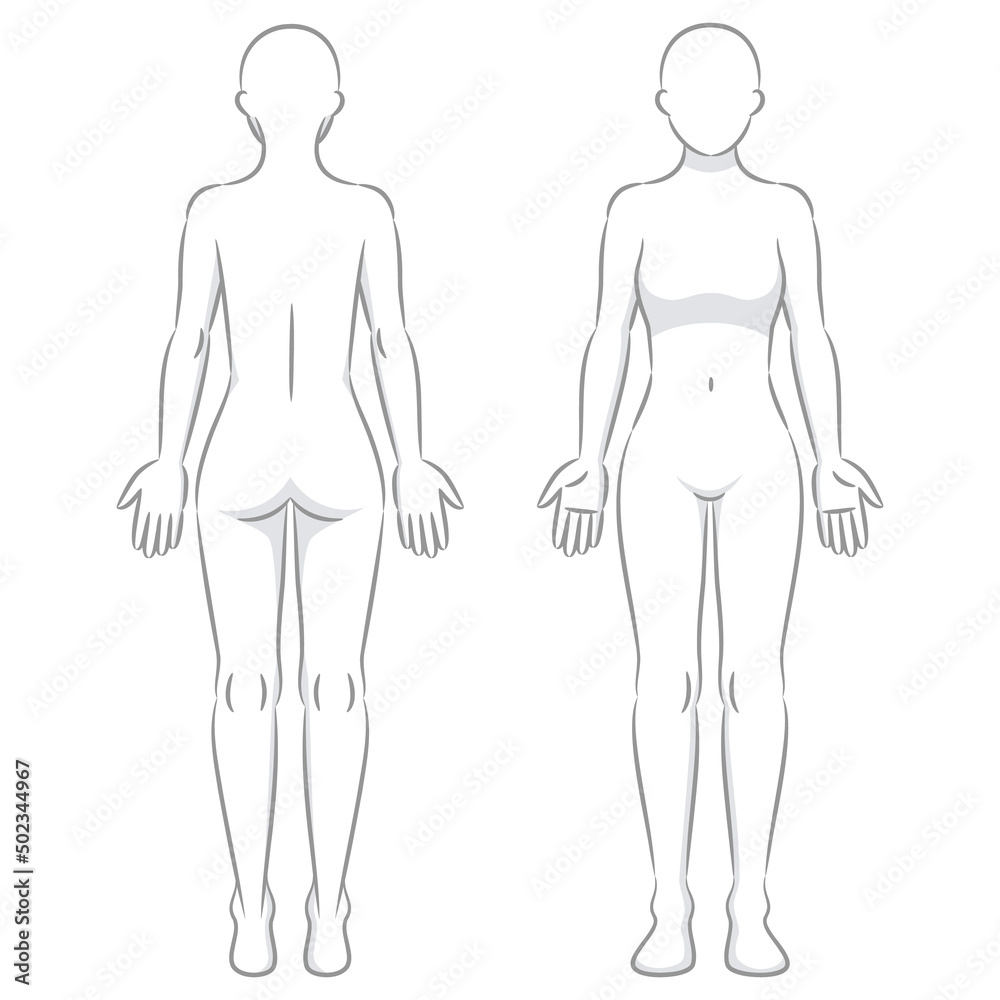 グレーの線で描かれた人体のイラスト/女性 グレーの線で描かれた人体のイラスト/女性