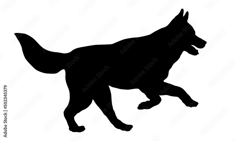 Black dog silhouette. Running and jumping siberian husky. Pet animals. Isolated on a white background.
