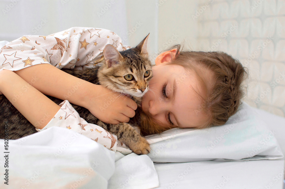 Portrait. Close-up. The child is resting on the bed with his kitten. A little girl in pajamas on a sunny morning with tenderness and love hugs a gray cat and smiles Portrait. Close-up. The child is resting on the bed with his kitten. A little girl in pajamas on a sunny morning with tenderness and love hugs a gray cat and smiles