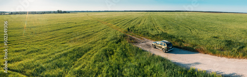 Gomel, Belarus - June 17, 2021: Aerial view of Renault Duster car suv mooving on countryside road in spring field rural landscape. Renault Duster or Dacia Duster Suv in road through summer green corn
