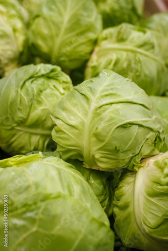 fresh spring cabbage in grocery department store or supermarket, healthy green vegetables texture