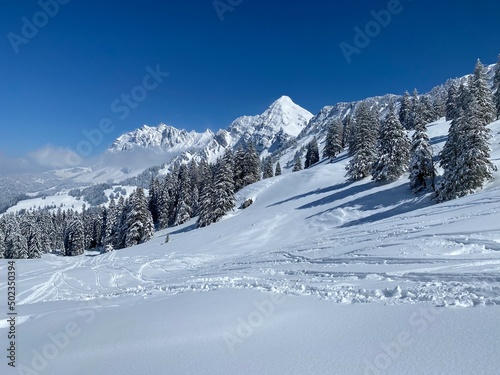 Fairytale alpine winter atmosphere the peaks of the Alpstein mountain range and in the Appenzell massif, Nesslau (Obertoggenburg region) - Canton of St. Gallen, Switzerland (Schweiz) © Mario