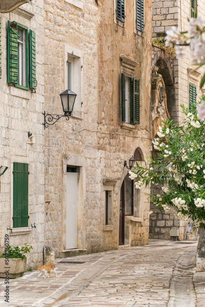 Street of the old town of Kotor in Montenegro.