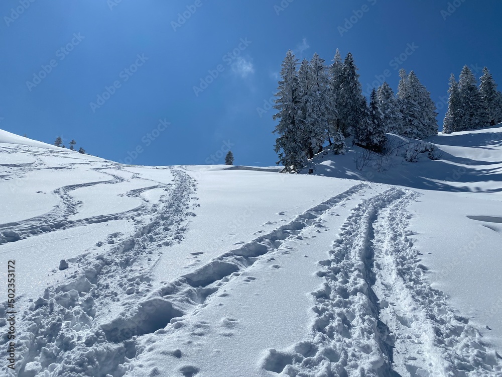 Obraz premium Wonderful winter hiking trails and traces on the slopes of the Alpstein mountain range and in the fresh alpine snow cover of the Swiss Alps, Nesslau - Obertoggenburg, Switzerland (Schweiz)