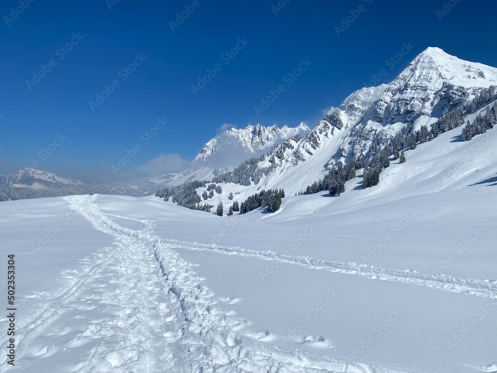 Obraz premium Wonderful winter hiking trails and traces on the slopes of the Alpstein mountain range and in the fresh alpine snow cover of the Swiss Alps, Nesslau - Obertoggenburg, Switzerland (Schweiz)