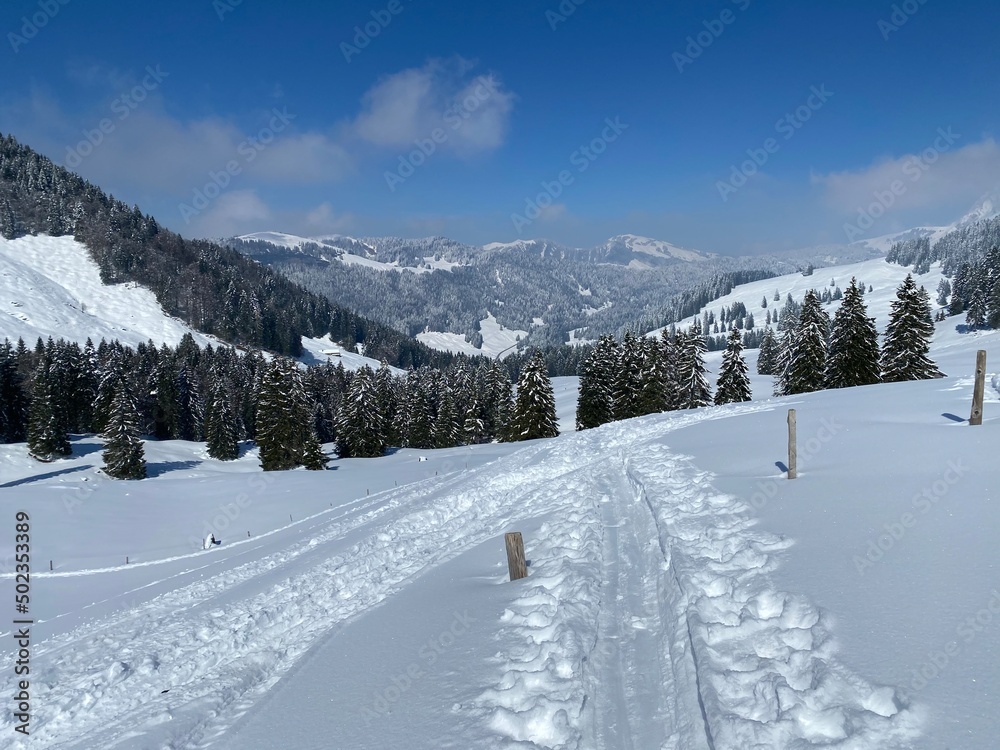 Fototapeta premium Wonderful winter hiking trails and traces on the slopes of the Alpstein mountain range and in the fresh alpine snow cover of the Swiss Alps, Nesslau - Obertoggenburg, Switzerland (Schweiz)