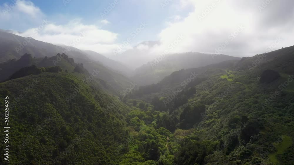 Jurassic looking trees and misty mountains near the Big Sur coast of California. Aerial view slowly moving showing the hills roads, with mist and clouds Jurassic looking trees and misty mountains near the Big Sur coast of California. Aerial view slowly moving showing the hills roads, with mist and clouds