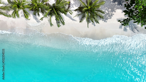 Aerial top view the palm trees in a tropical summer with Soft blue ocean wave on the beach and soft wave background.