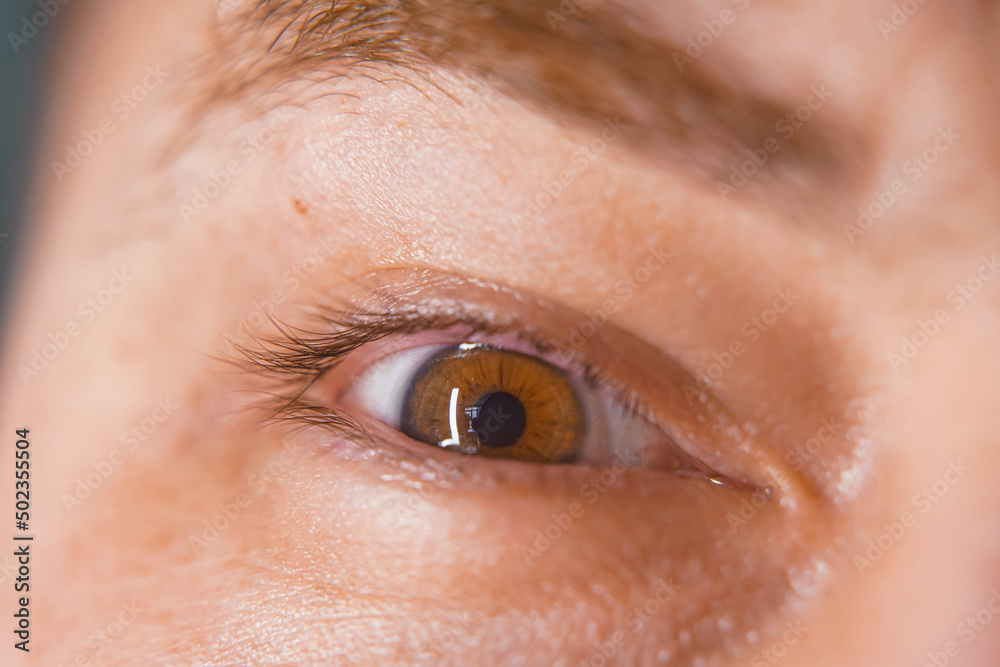 close up of a female eye close up of a female eye