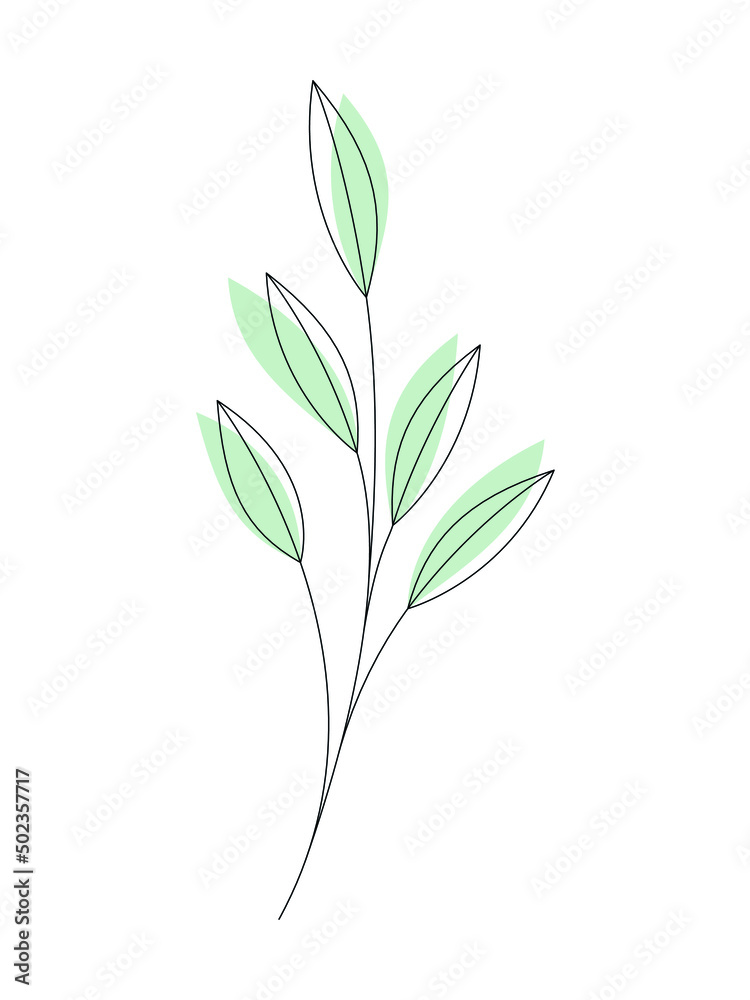 Obraz premium Line art leaves vector illustration. Floral design element for print, beauty or eco branding, card, poster. Contour silhouette branch isolated on white. Minimal contemporary drawing.