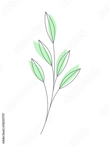 Line art leaves vector illustration. Floral design element for print  beauty or eco branding  card  poster. Contour silhouette branch isolated on white. Minimal contemporary drawing.