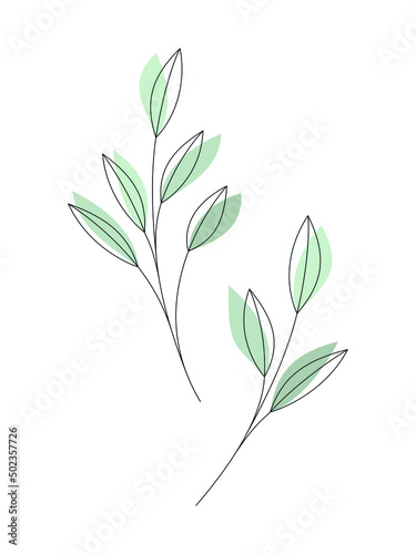 Vector contour silhouette contemporary drawing. Line art leaves illustration isolated on white. Floral design element for print, branding, card, poster. Abstract branch sketch.