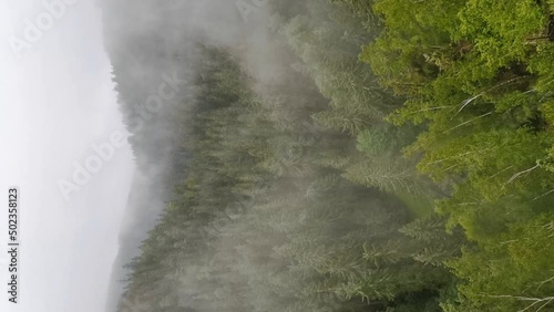 The fog drowned mystical valley of Schwarzwassertal in saxonian Ore Mountains. The mist moves through a large spruce and birch forest. Partrait pan shot.
