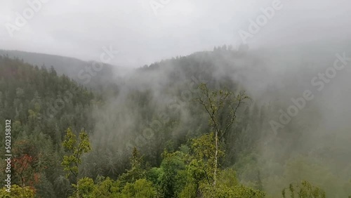 The fog drowned mystical valley of Schwarzwassertal in saxonian Ore Mountains. The mist moves through a large spruce and birch forest. still shot.