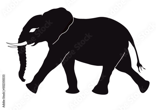 Ein kleiner Elefant läuft schnell durchs Bild 