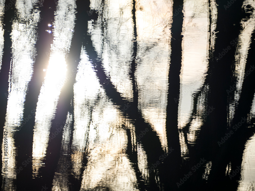 Obraz premium Reflection of Trees in Water, Reading, Berkshire, England, UK. 