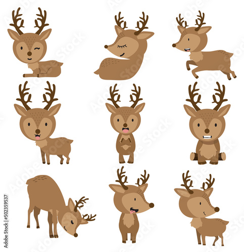 Cute Deers in different poses