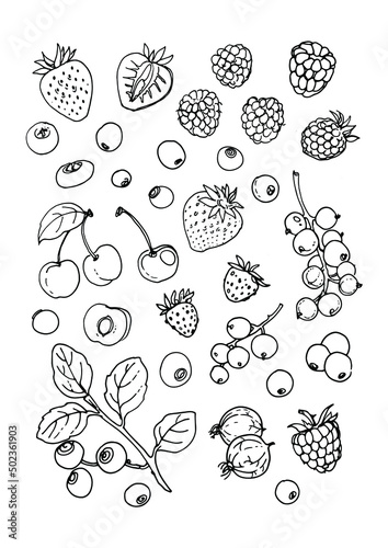 Vegetables and fruits food vector poster. Color sketch of products. Decor for kitchen and restaurant. Farm fruits and berries. Watermelon, banana, pineapple, apple, pear