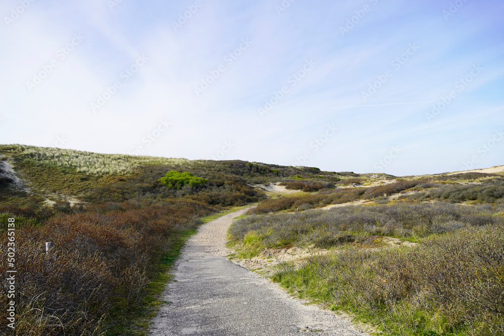 Dune landscape at the Dutch North Sea coast. Nature reserve. Netherlands.
