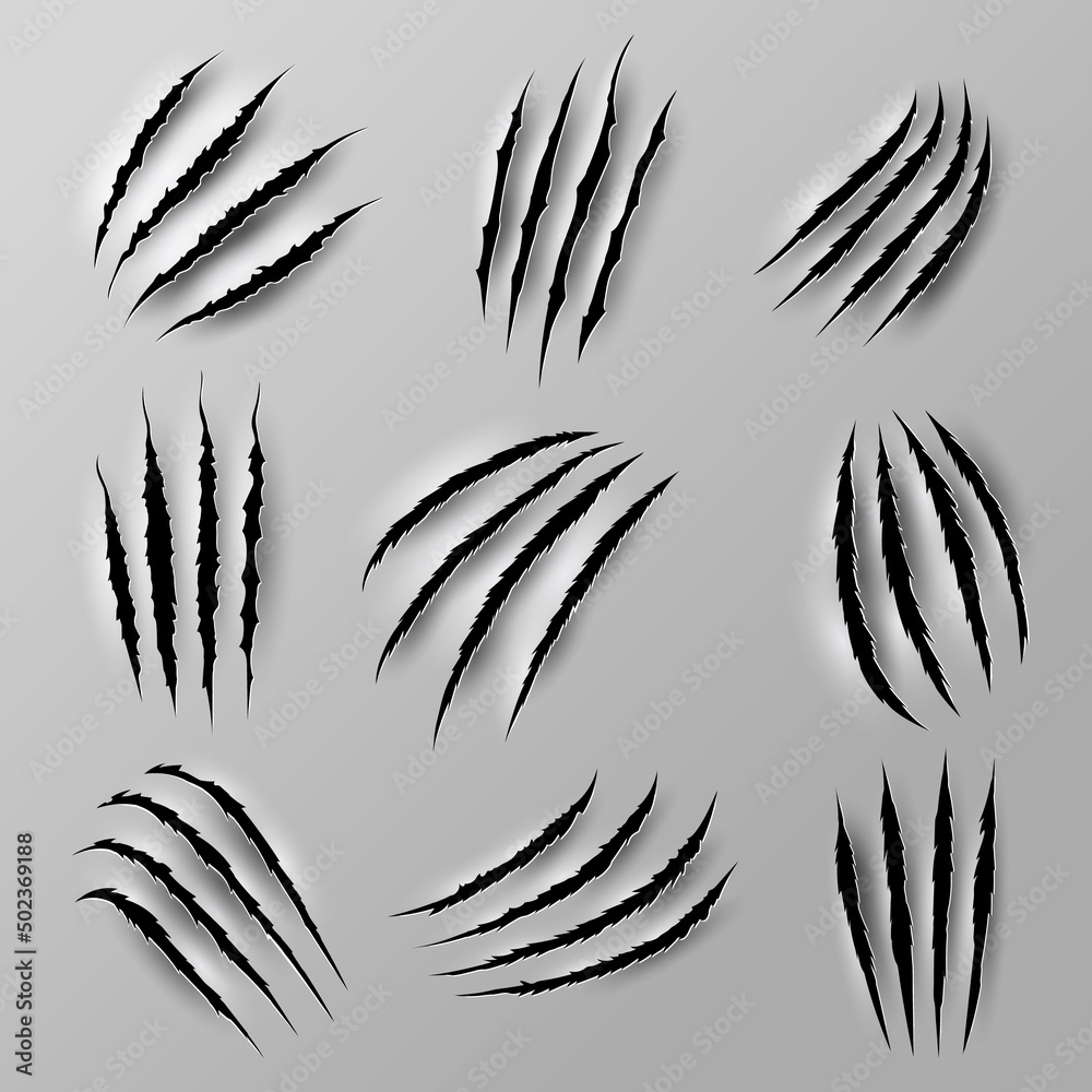 Bear and tiger claw marks and scratches from beast animal paw nails, realistic vector. Wild cat or lion and bear claw slashes, monster beast or werewolf attack scratches and shred traces Bear and tiger claw marks and scratches from beast animal paw nails, realistic vector. Wild cat or lion and bear claw slashes, monster beast or werewolf attack scratches and shred traces
