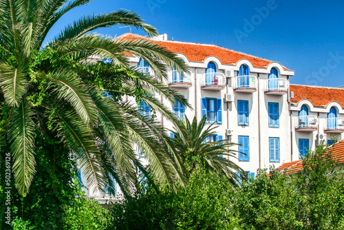 Palm trees and hotel in resort at Tivat, Montenegro