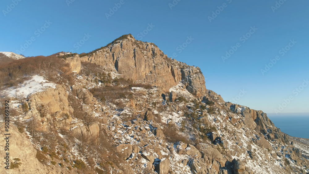 Aerial view of sunny Alp mountains in winter covered by snow and bald trees on blue sky background. Shot. Flying over steep cliffs on a sunny day.