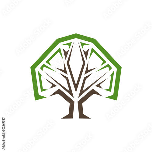 Park or garden tree icon. Seedlings shop, garden plants market or store, organic farm orchard vector emblem or icon with graphic and ornamental tree crown, leaves and branches