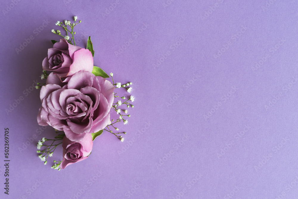 Purple roses with white flowers on purple background. Copy space. Stock ...