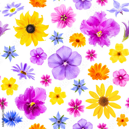 Bright seamless pattern of colorful flowers on a white background, as a backdrop or texture. Spring, summer floral wallpaper for your design. Top view Flat lay