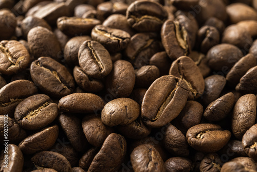 Medium roasted coffee beans background. Macro texture of organic coffee grains of light roast. Abstract design element for coffee crop and caffeine beverage concepts.