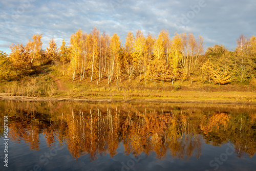 Autumn trees by the lake.