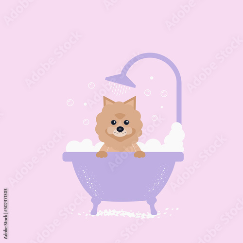 cute dog taking a bath with foam