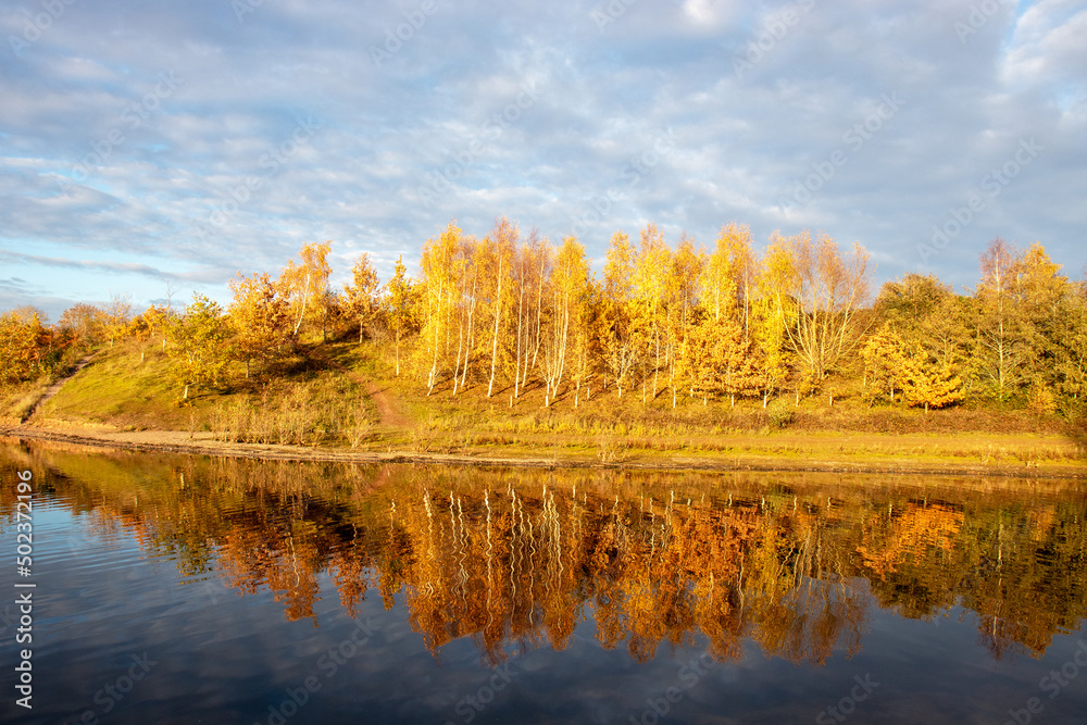 Obraz premium Autumn trees by the lake.