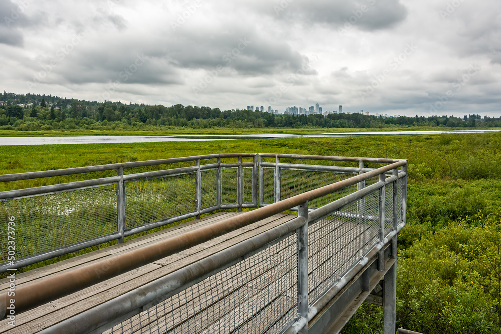 Recreational deck with observation over the park of Burnaby lake