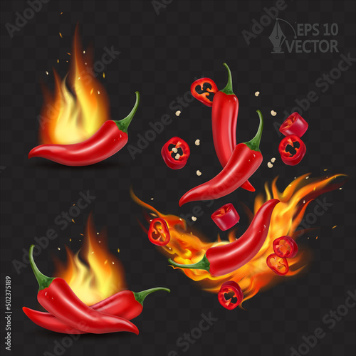 Burning red chili pepper with falling pieces, natural pepper, BBQ spicy food, 3d realistic vector illustration set