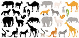 animals set flat design , isolated on white background, vector
