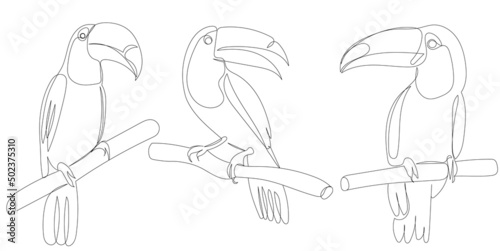toucan one continuous line drawing, isolated, vector