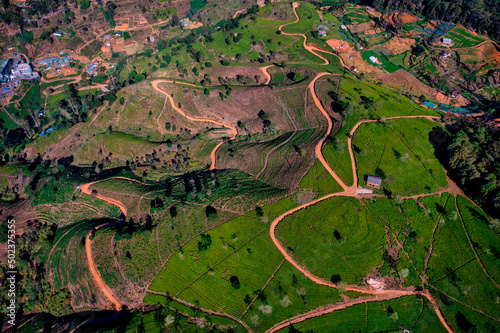 Aerial view of Ella Tea Garden, Nuwara Eliya, Sri Lanka. photo