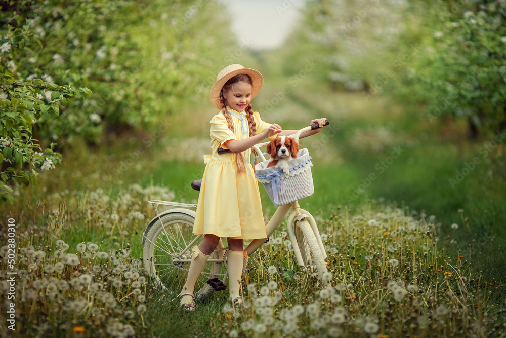 Friendship of children and pets. a cute girl and a little puppy cavalier ride a bike in spring in a blooming garden Friendship of children and pets. a cute girl and a little puppy cavalier ride a bike in spring in a blooming garden