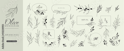 Vászonkép Set of olive oil monogram, floral branch and frames