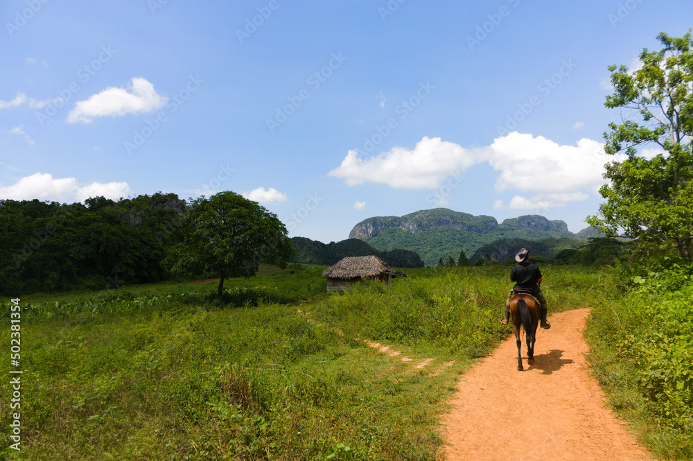Landscape image of Cuban cowboy riding horseback on a lone trail in the jungles of the Vinales region of Cuba. Landscape image of Cuban cowboy riding horseback on a lone trail in the jungles of the Vinales region of Cuba.