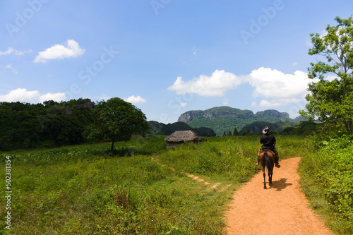 Landscape image of Cuban cowboy riding horseback on a lone trail in the jungles of the Vinales region of Cuba.