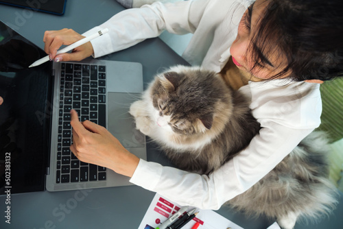 Fototapeta Naklejka Na Ścianę i Meble -  Young Asian woman working from home with her cat