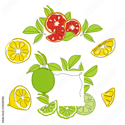 Set of collection orange, lemon, bergamot, lime and grapefruit citrus element fruits. Vector illustration collection tropical exotic food.