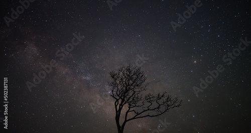 stars in the night - Assateague Island, Maryland