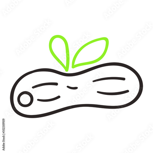 Peanut . Outline icon. Vector illustration on white background.